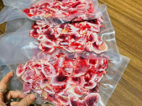 Hoạt động 1 (1) (1) (1) (1)