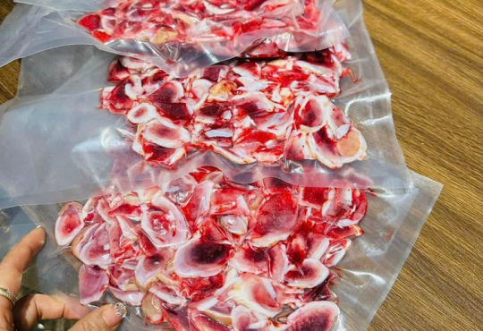 Hoạt động 1 (1) (1) (1) (1)