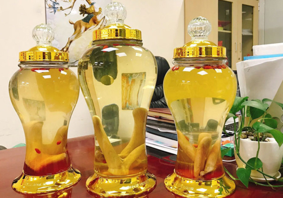 Ngâm Nhung Hươu Với Gì? 4 Cách Ngâm Nhung Hươu Phổ Biến