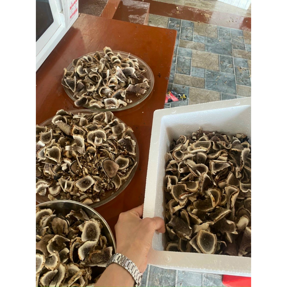 Nhung hươu khô lát Hương Sơn 100g