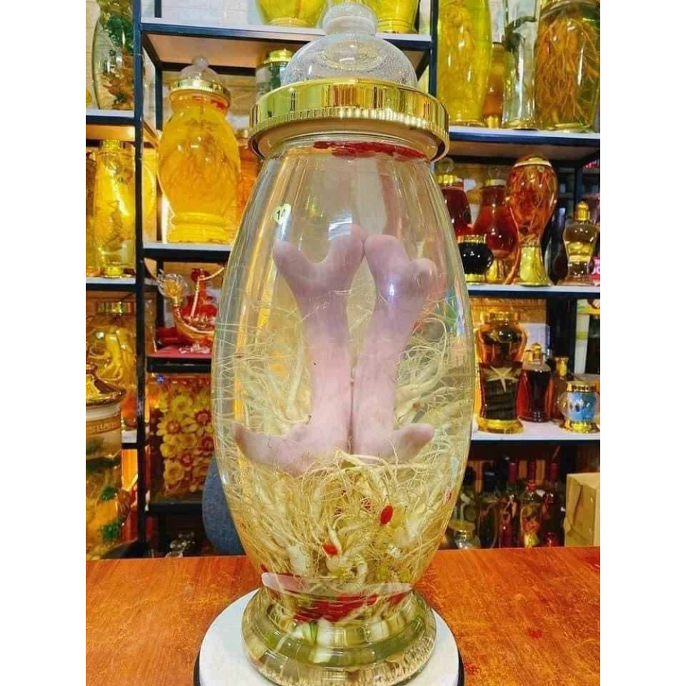 Nhung hươu ngâm rượu Hương Sơn