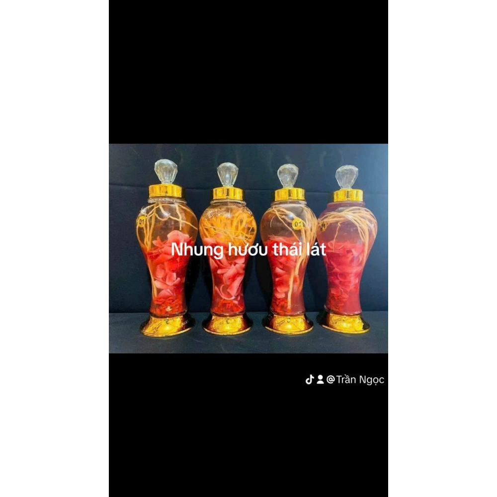 Nhung hươu ngâm rượu Hương Sơn