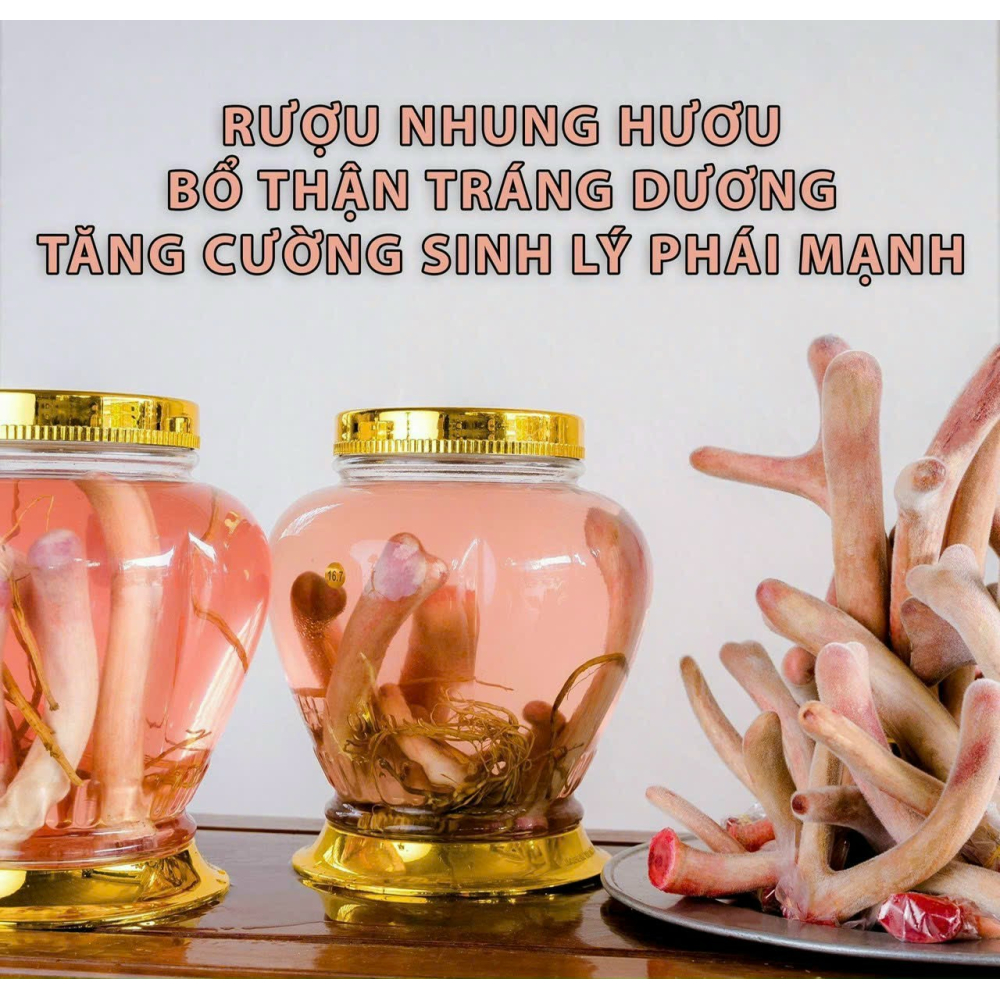 Nhung hươu ngâm rượu Hương Sơn