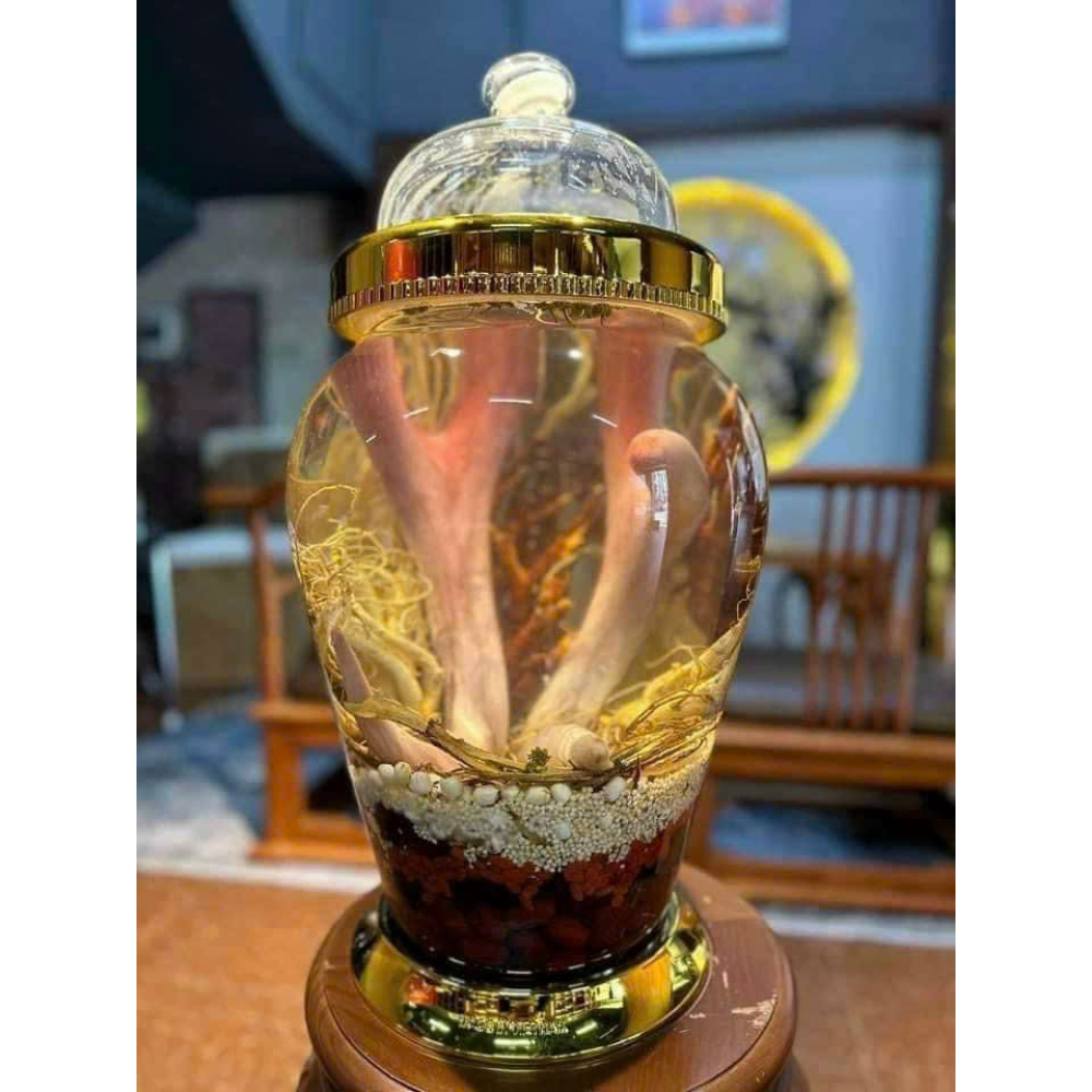 Nhung hươu ngâm rượu Hương Sơn